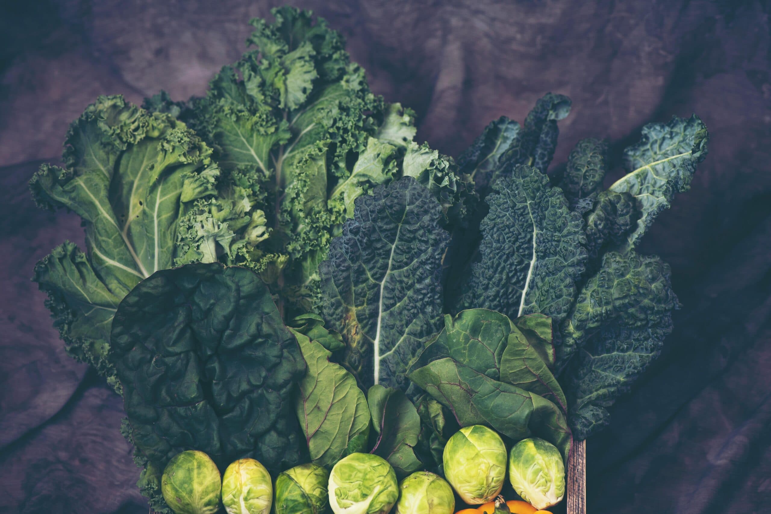 La aportación socioeconómica del sector plant-based en España-image